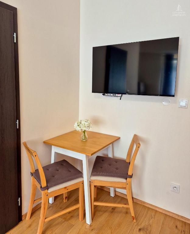 City Center Apartments - Moderna Brno Římské náměstí III - 18