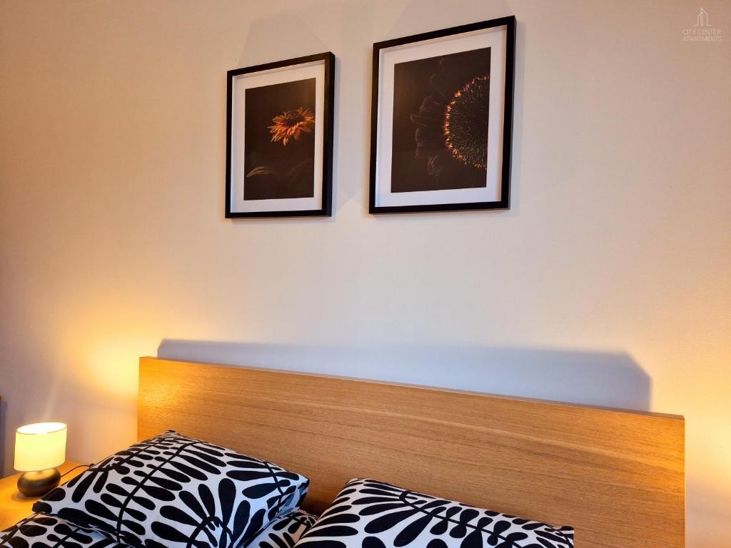 City Center Apartments - Moderna Brno Římské náměstí III - 10