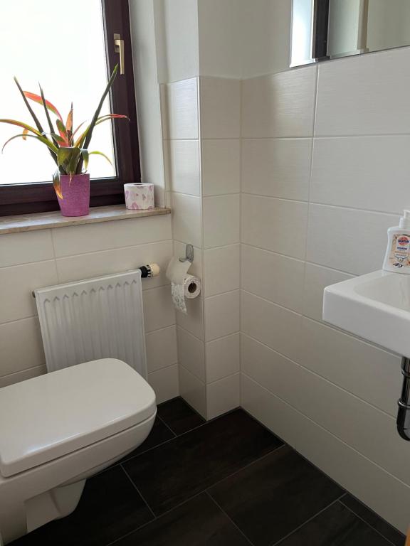 Ferienwohnung Zur Tanne - 13