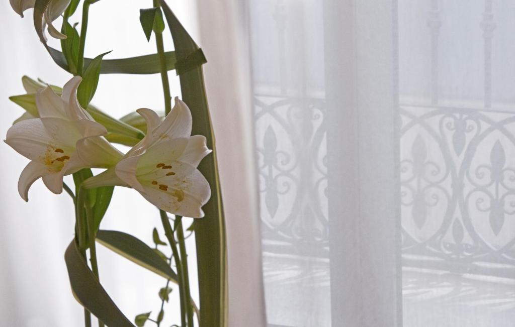 Hospes Amérigo, Alicante, a Member of Design Hotels - 37