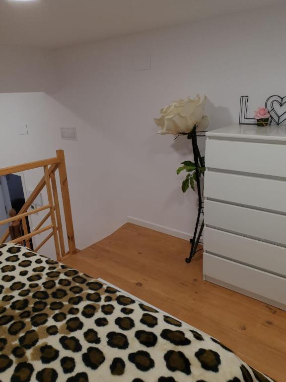 Beautiful and nice Loft - Alicante - 34