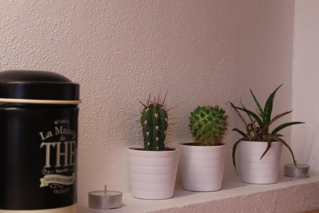 Lovely Studio D'Azeglio by Studio Vita - 23