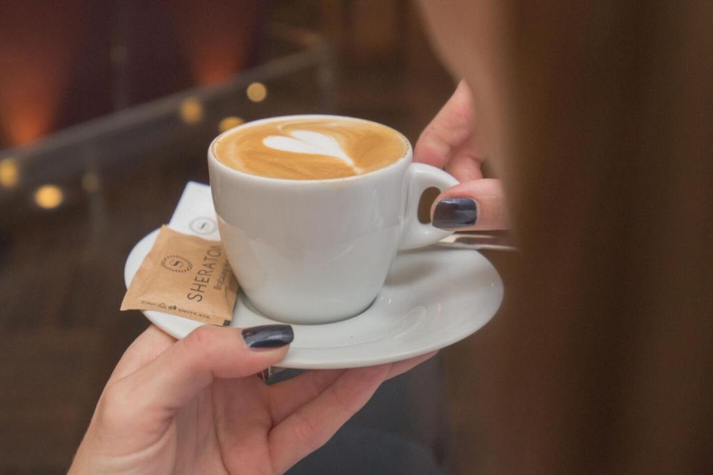 Sheraton Bratislava Hotel - 41