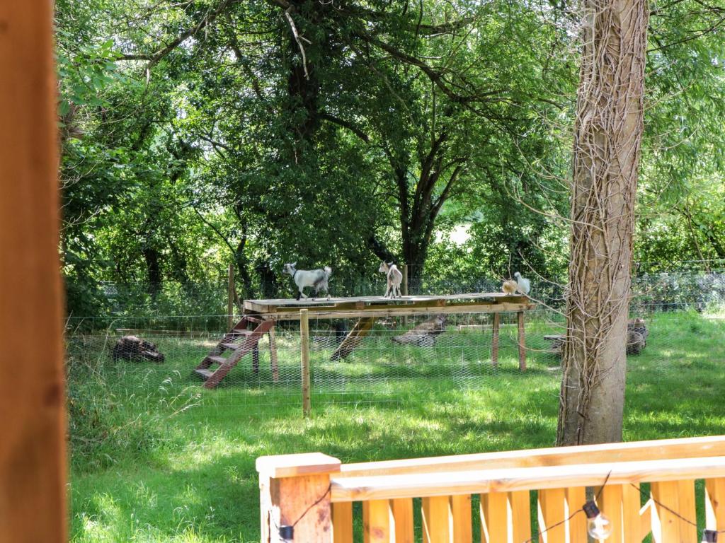 The Foxes Den Shepherds Hut - 15