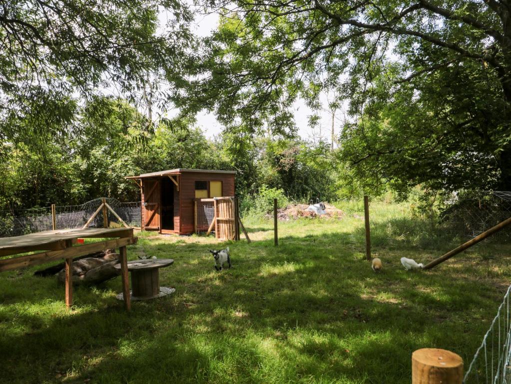The Foxes Den Shepherds Hut - 26