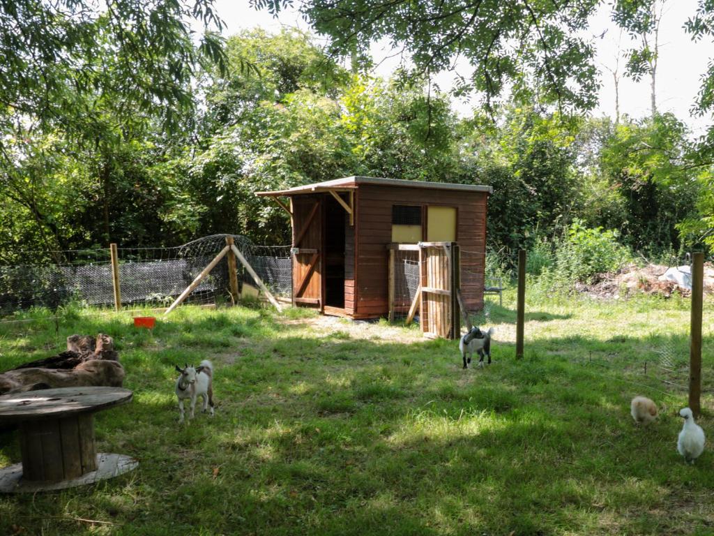 The Foxes Den Shepherds Hut - 24
