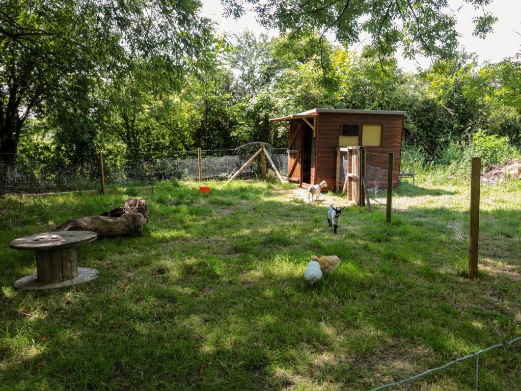 The Foxes Den Shepherds Hut - 25