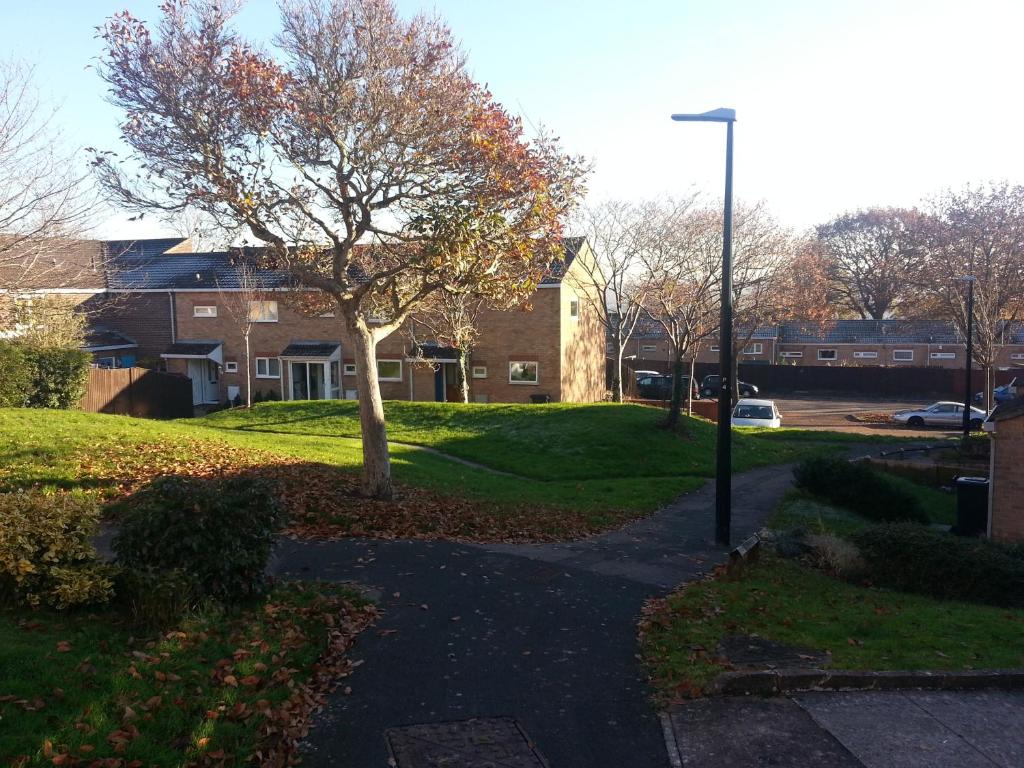 Luxurious Dingle Corner - 43