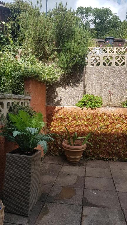 Luxurious Dingle Corner - 42