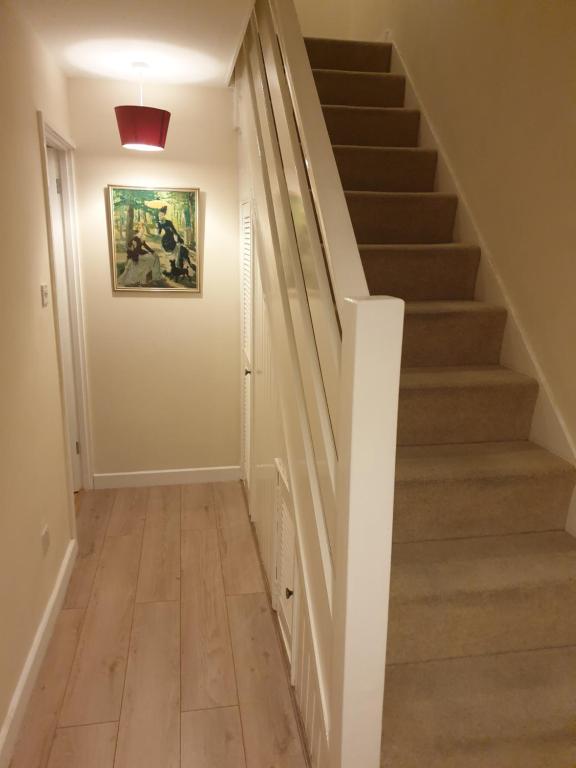 Luxurious Dingle Corner - 26