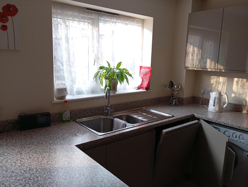 Luxurious Dingle Corner - 9