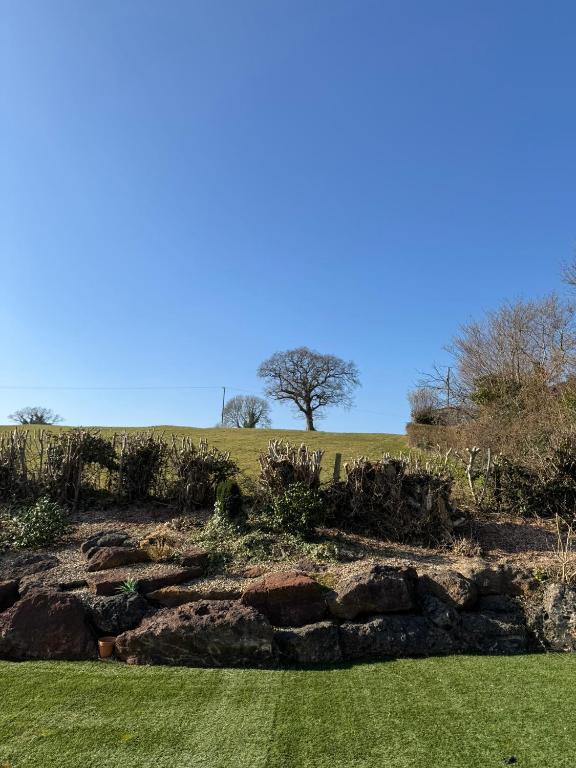 Rosemary House BRS Airport Accommodation - 9