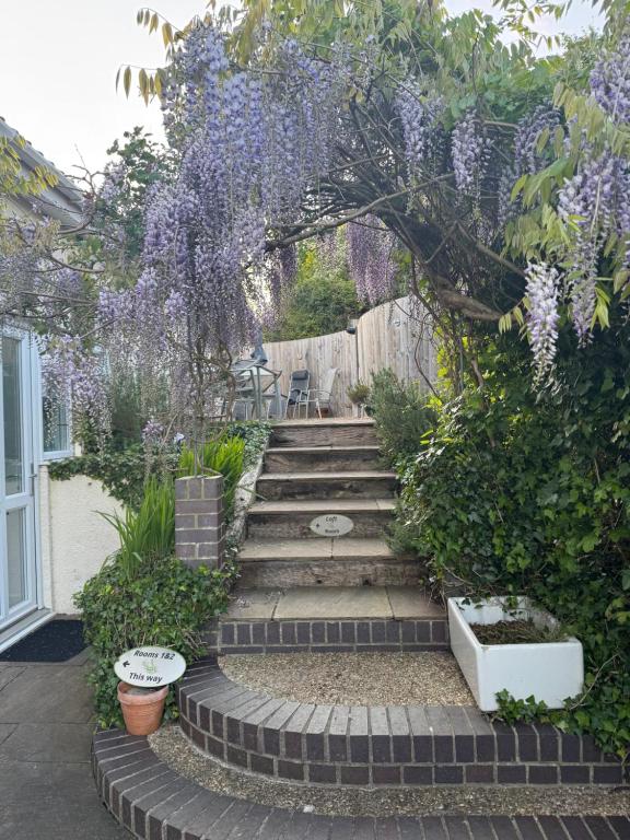 Rosemary House BRS Airport Accommodation - 6