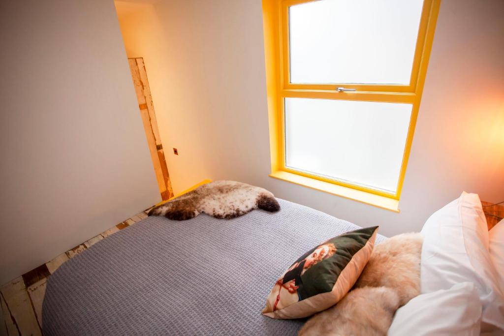 Higgihaus Aparthotel, Clare Street - 27