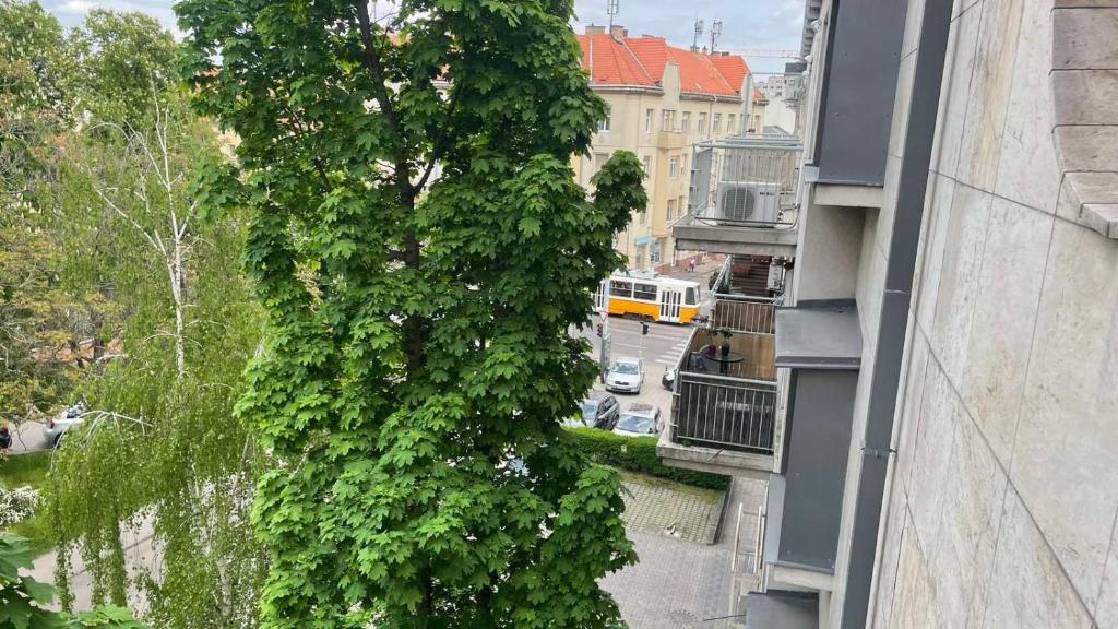 Kis-Celli apartman - 12