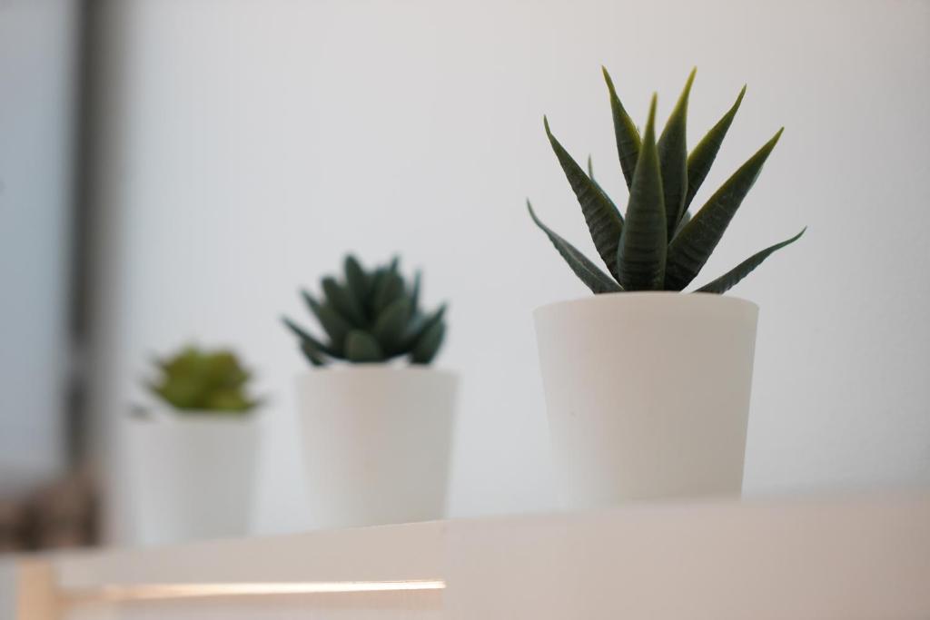 Sicily House Caronda Catania - 9