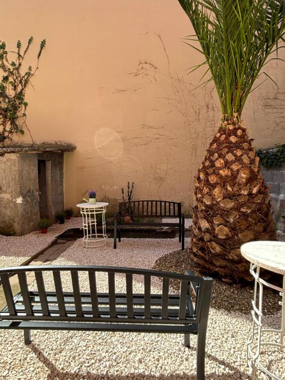 Il Giardino Casa Vacanze - 7