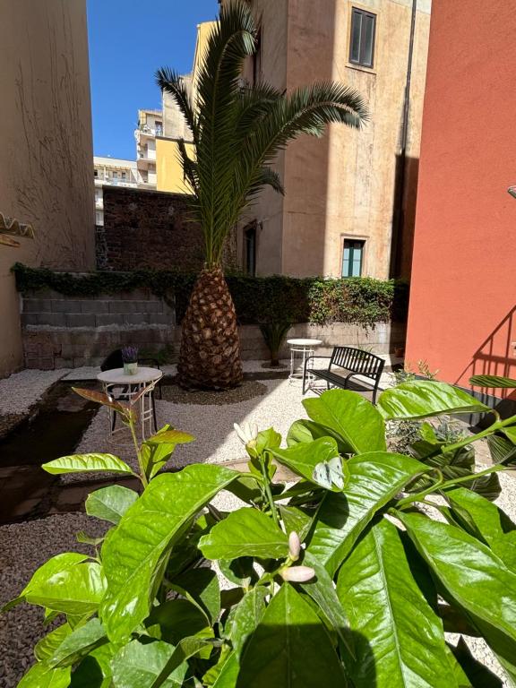 Il Giardino Casa Vacanze - 16