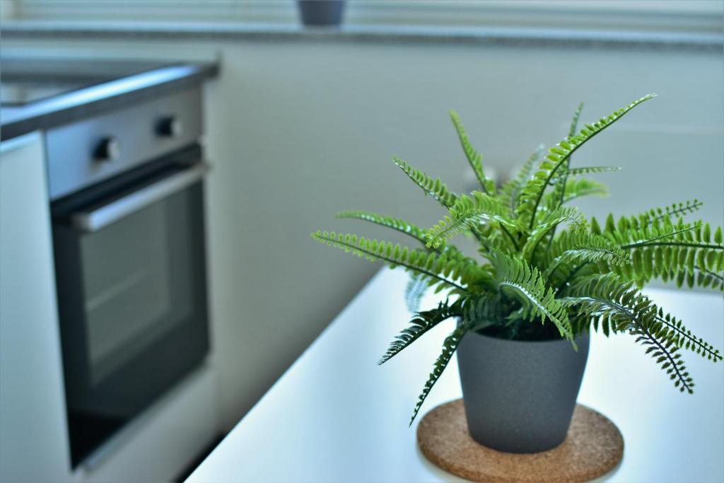 City Apartments in Cologne Deutz - 18