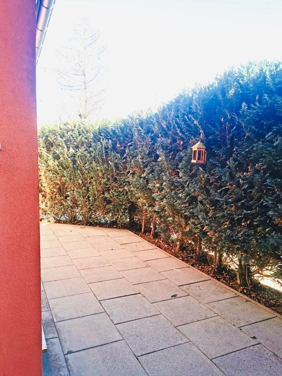 Villa am Park Apartment - 36