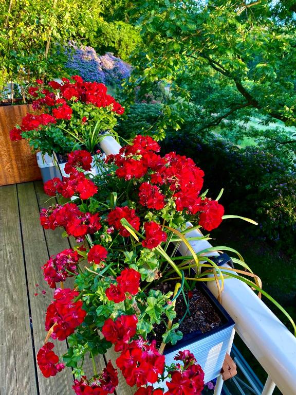 Ferienwohnung Natur und Kunst - 33