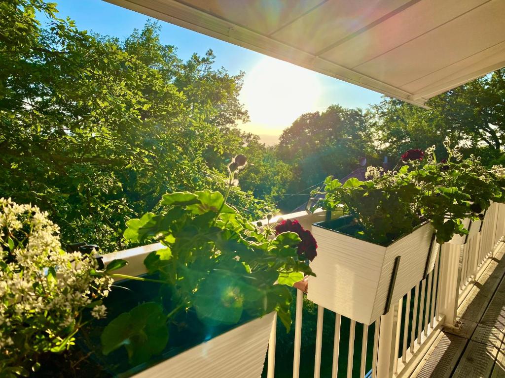 Ferienwohnung Natur und Kunst - 19