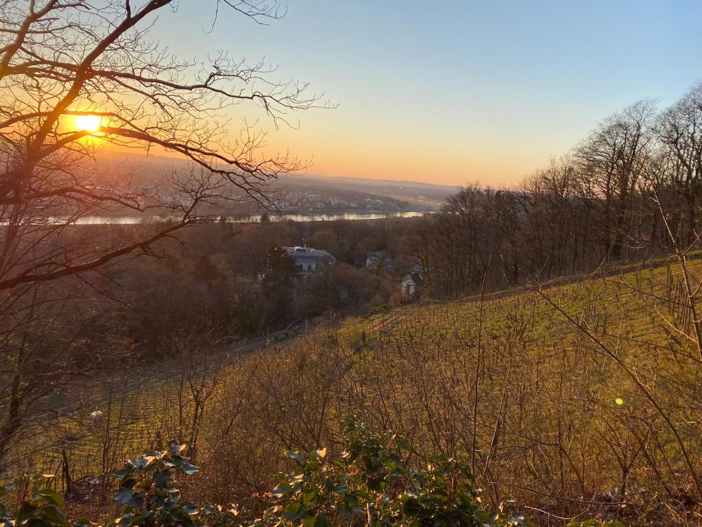 Ferienwohnung Natur und Kunst - 26