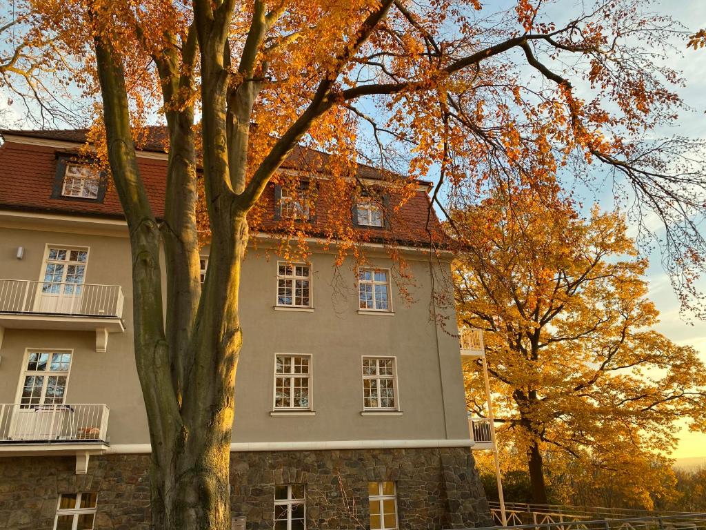 Ferienwohnung Natur und Kunst - 6