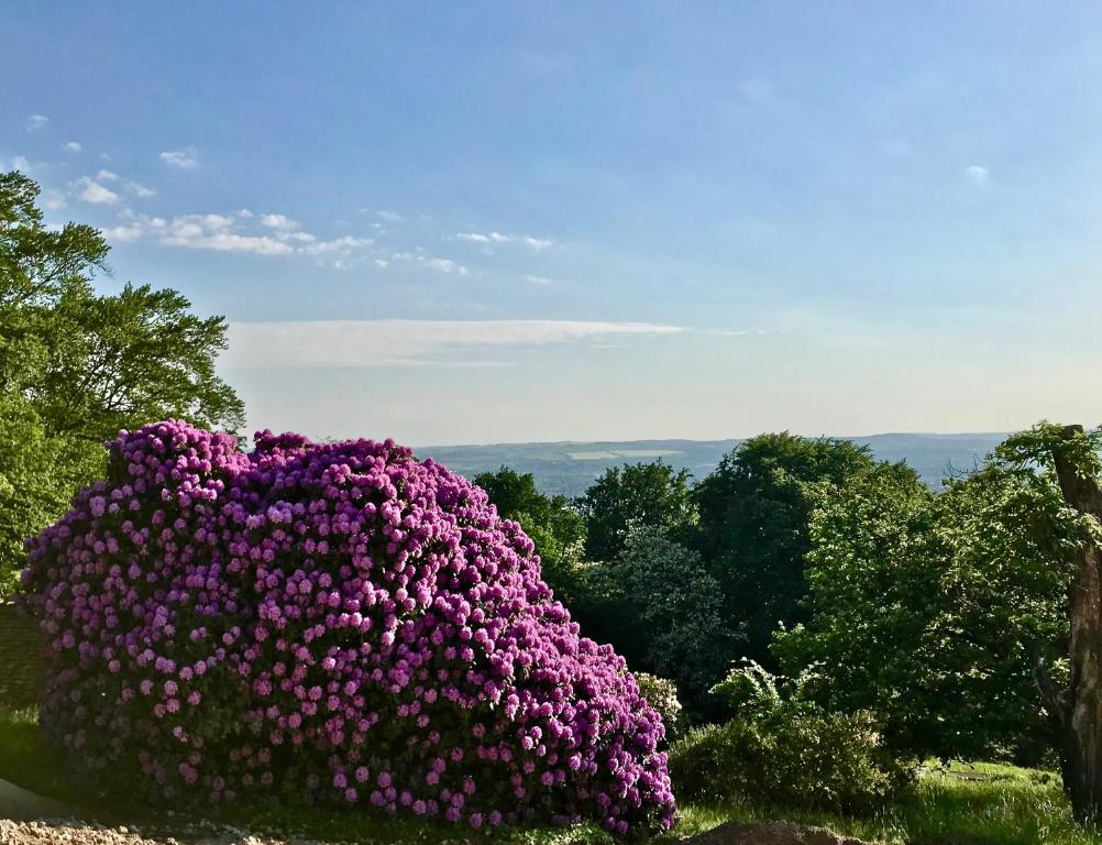 Ferienwohnung Natur und Kunst - 24