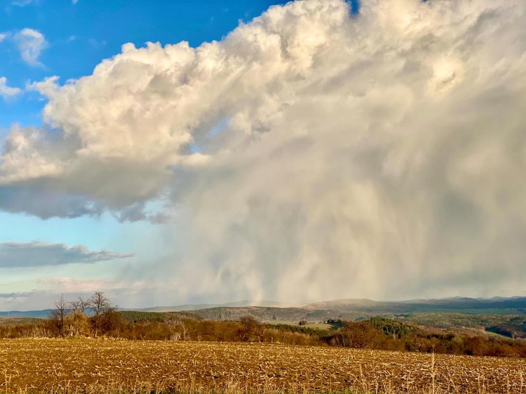 Ferienwohnung Natur und Kunst - 30