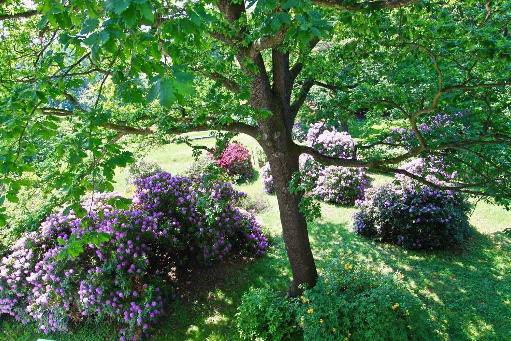 Ferienwohnung Natur und Kunst - 23