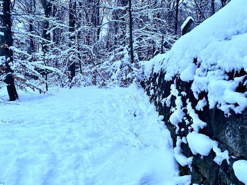 Ferienwohnung Natur und Kunst - 31