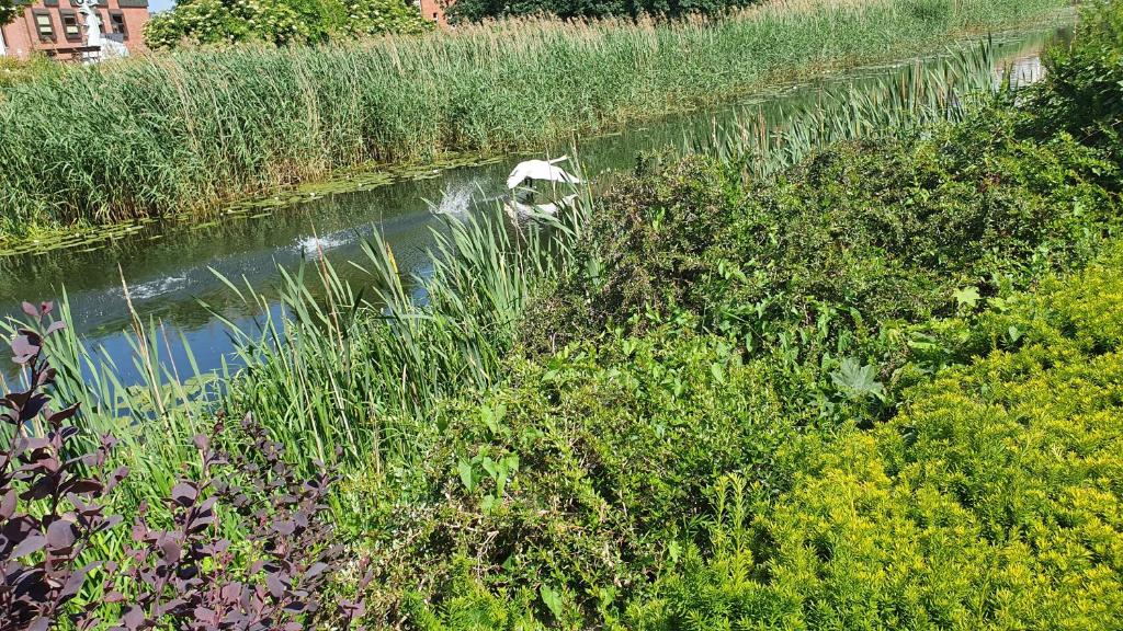 Podewils Old Town Gdansk - 36