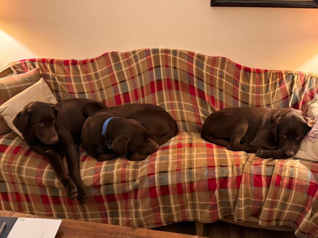 The West Highland Way Hotel and Retreat Accommodation - 12