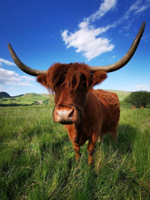 The West Highland Way Hotel and Retreat Accommodation - 15