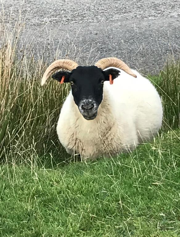 The West Highland Way Hotel and Retreat Accommodation - 20