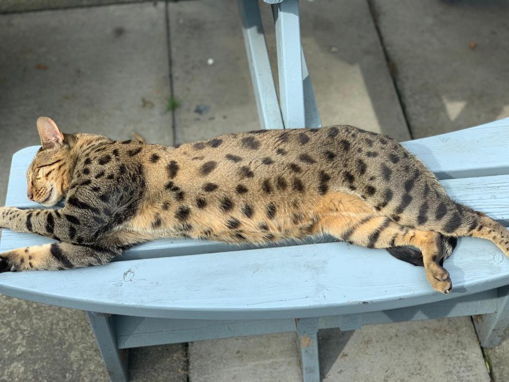 The West Highland Way Hotel and Retreat Accommodation - 24