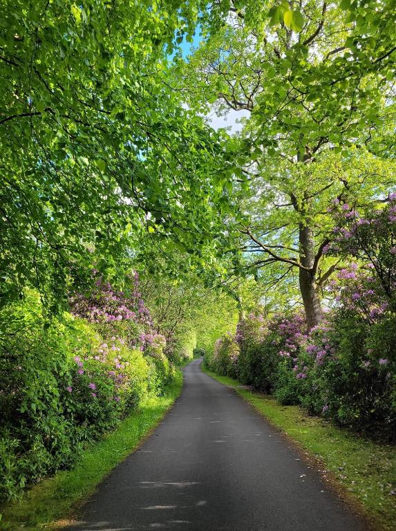 The West Highland Way Hotel and Retreat Accommodation - 26