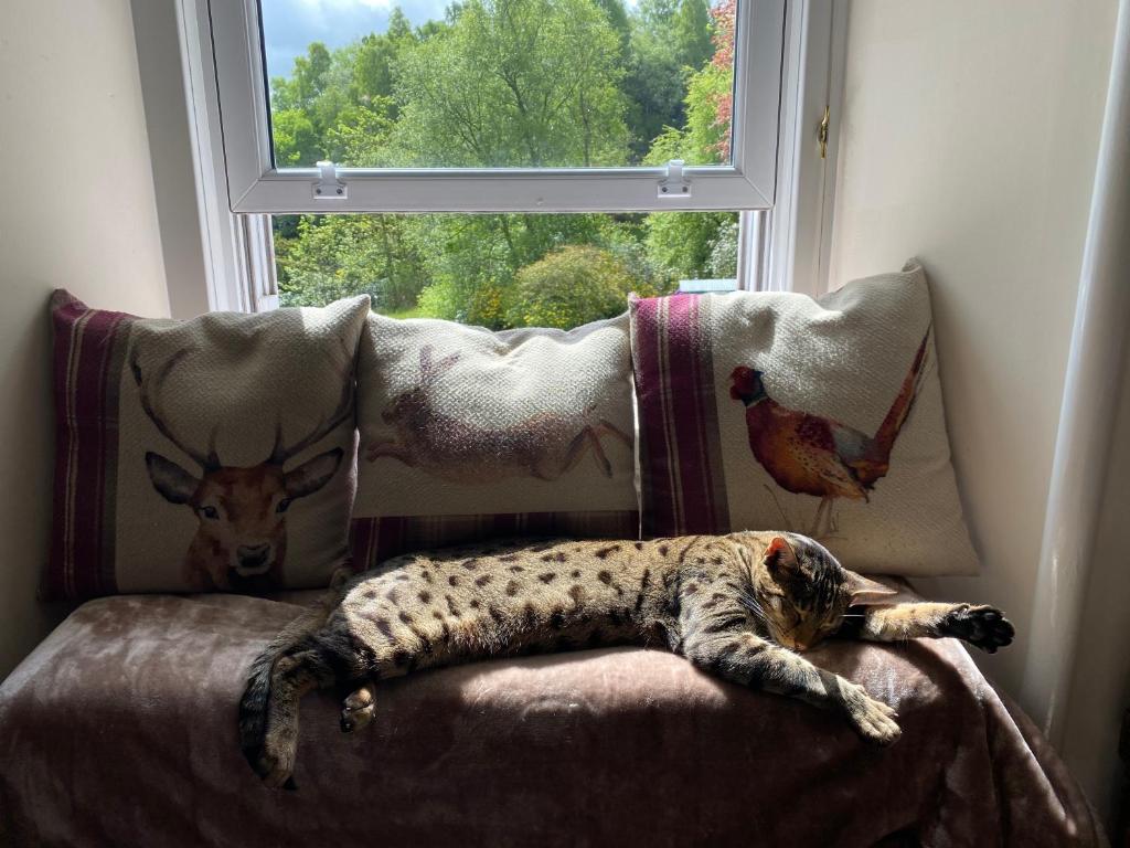 The West Highland Way Hotel and Retreat Accommodation - 19