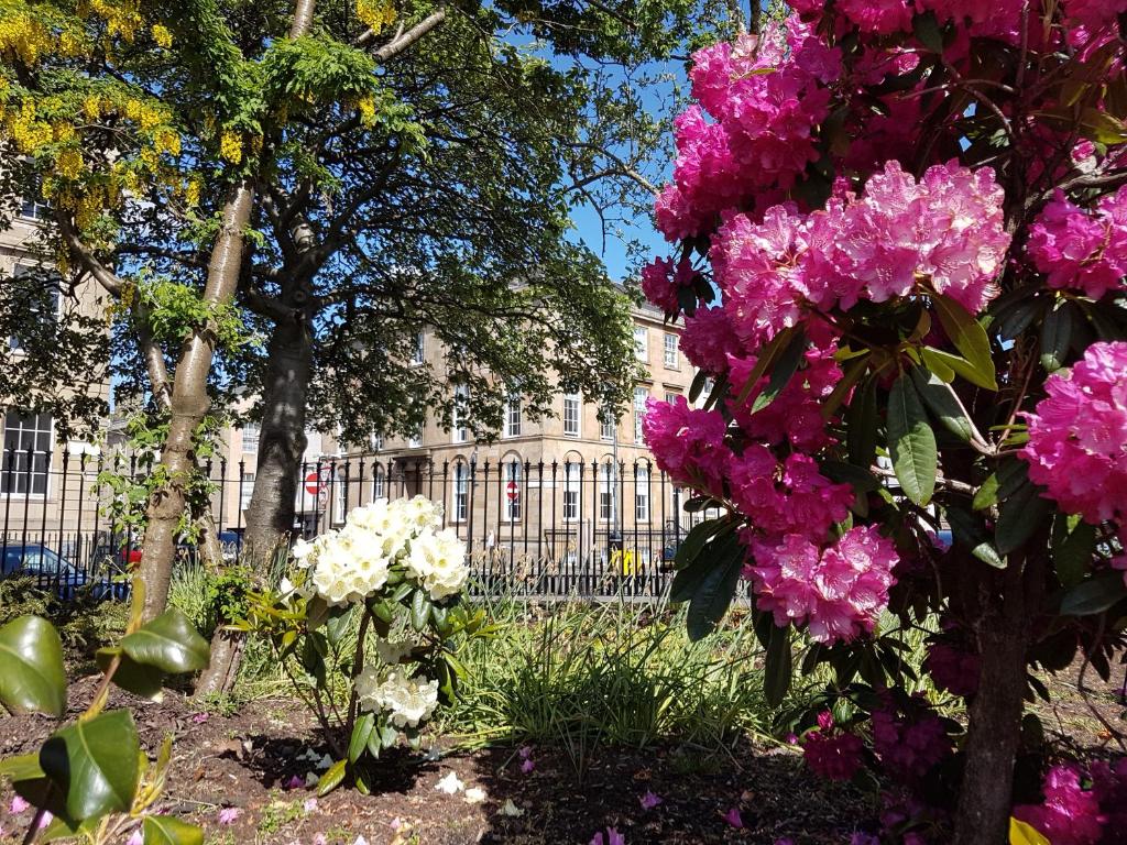 Blythswood Square Apartments - 9