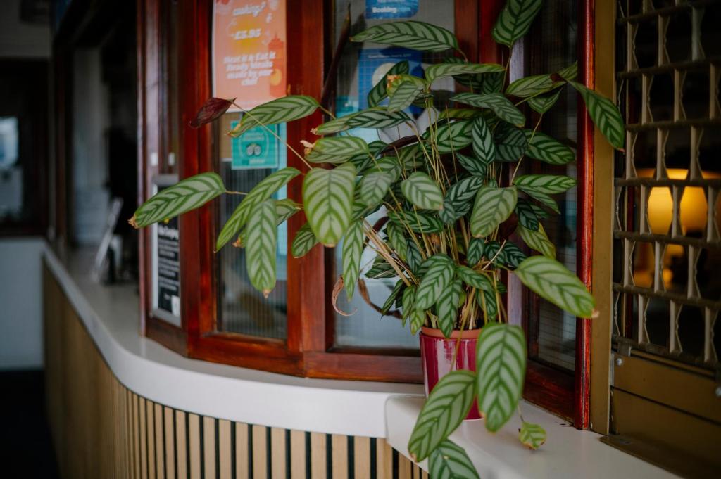 Glasgow Youth Hostel - 25