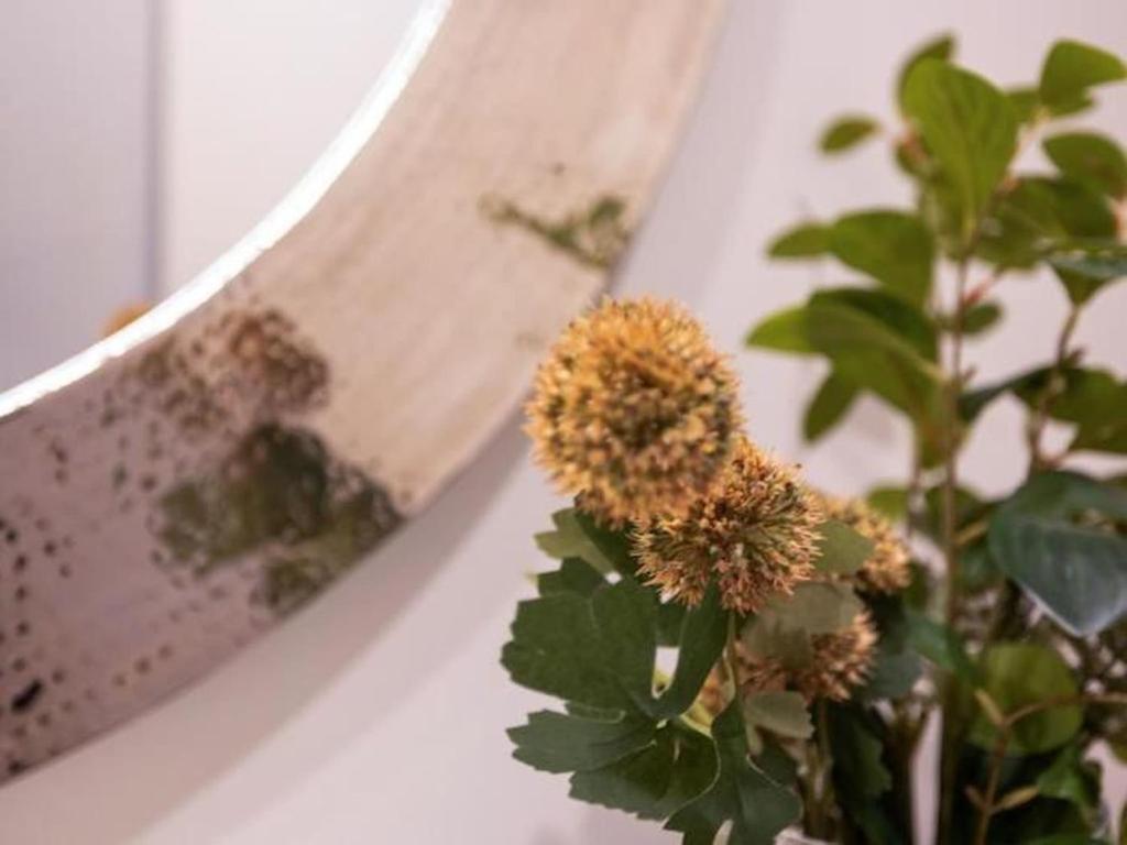 ChezmoiHomes Trinidad Deluxe 5 - 23