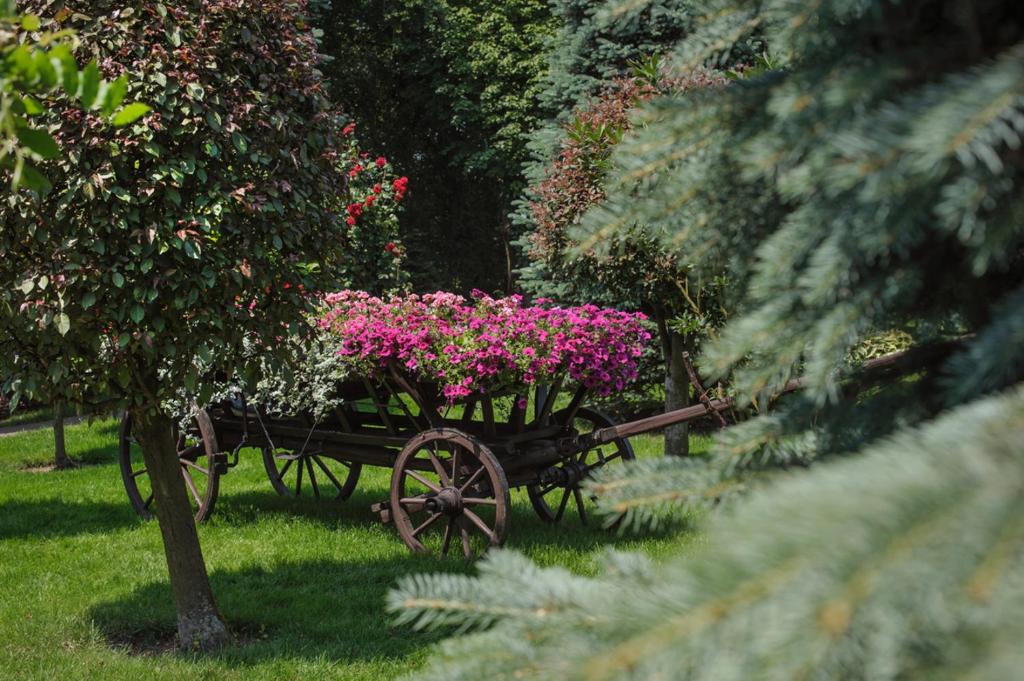 Booking Hotel & Spa - 11