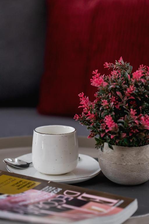 Casa Feliz Zabłocie Studio for 4 Guests Cracow by Noclegi Renters - 15