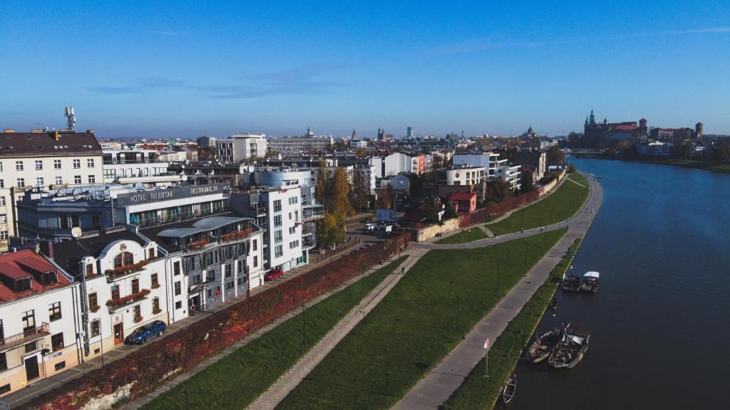 Niebieski Art Hotel & Spa - 9