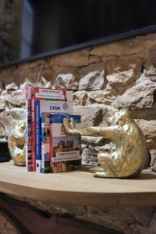 Central & Atypique T3 Parking privé Opera/Terreaux - 10