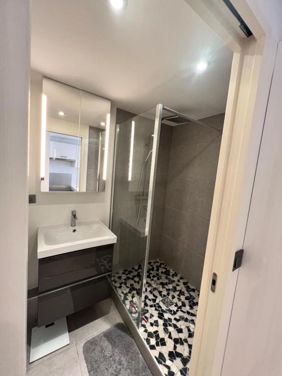 Superbe appartement plein centre de Lyon - 16