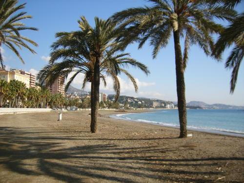 Encantador bajo en Málaga - 37