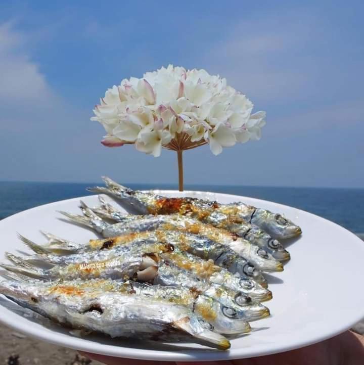 Encantador bajo en Málaga - 28