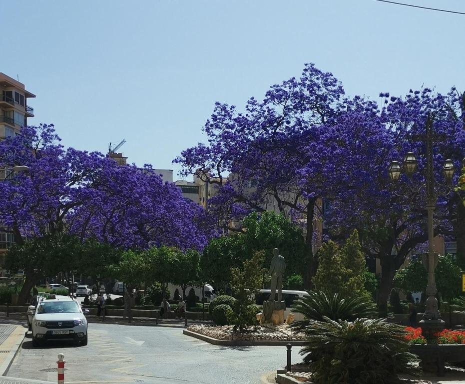 Encantador bajo en Málaga - 10